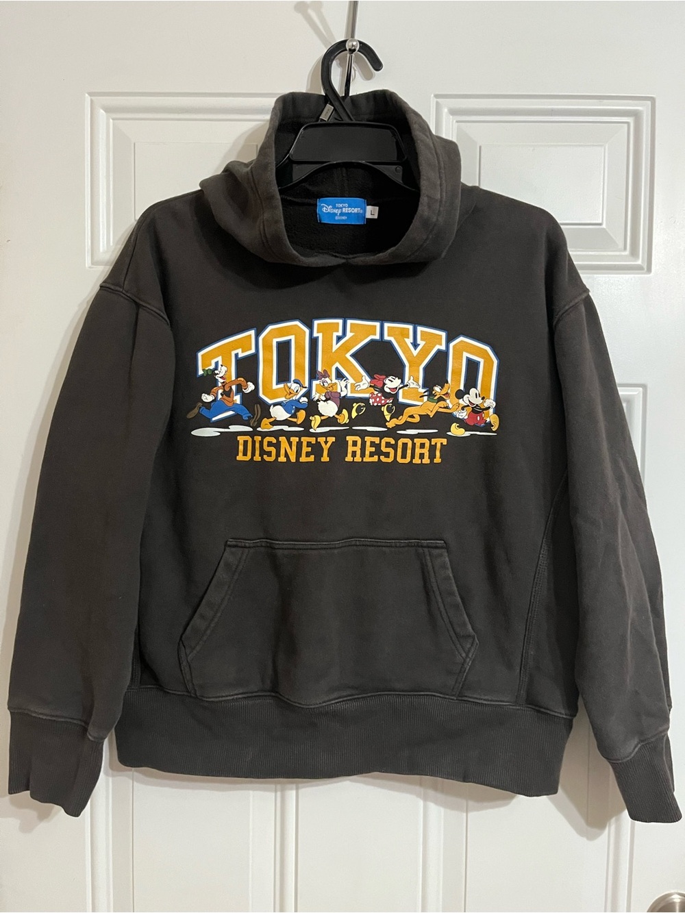 Tokyo Disney Resort Mickey Mouse Characters Hoodie Sweatshirt Brown Adult Large